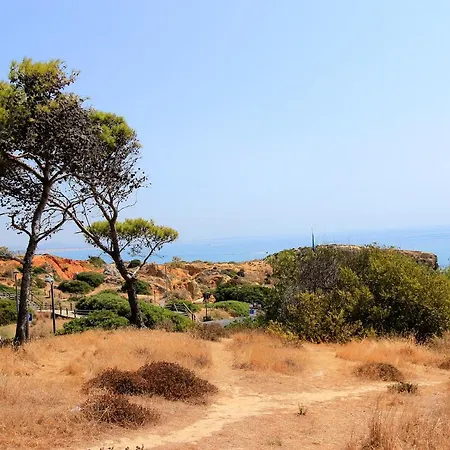 شقة Cool Grey البوفيرا