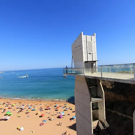 Cool Grey * 阿尔布费拉