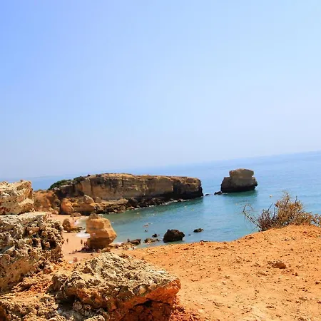 Cool Grey * 阿尔布费拉