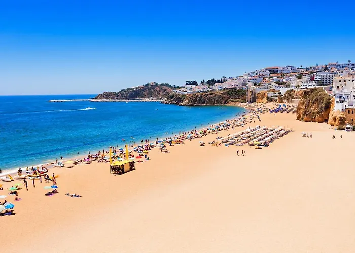 Cool Grey 阿尔布费拉